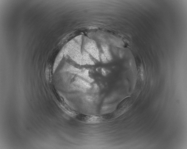 X0000080730527200701021123