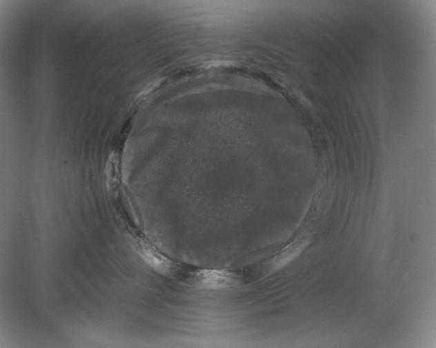 X0000080730528200701021123