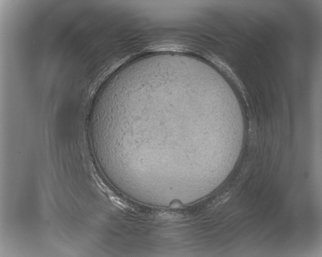 X0000080730529200701021122