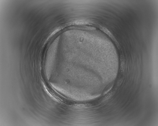 X0000080730530200701021122