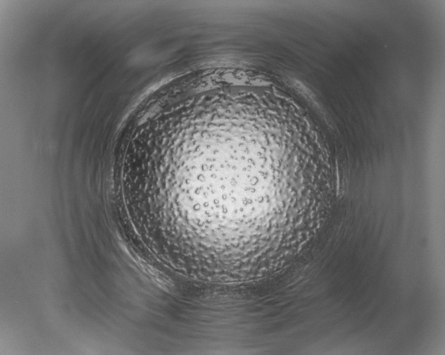 X0000080730531200701021122