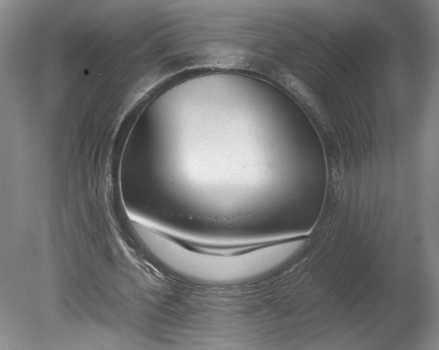 X0000080730532200701021122