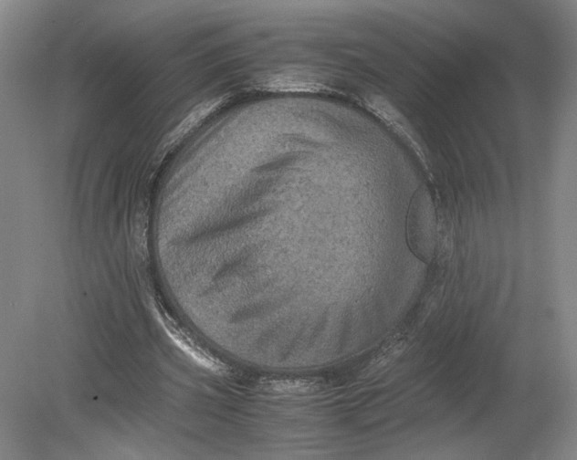 X0000080730533200701021122