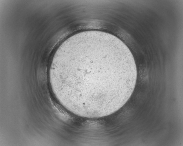 X0000080730534200701021122