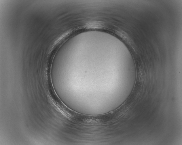 X0000080730535200701021122