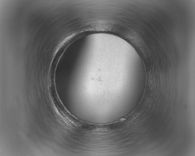 X0000080730536200701021122