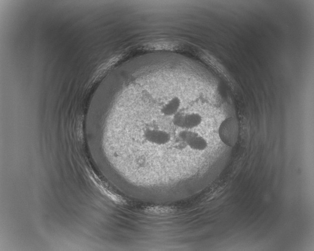 X0000080730537200701021122