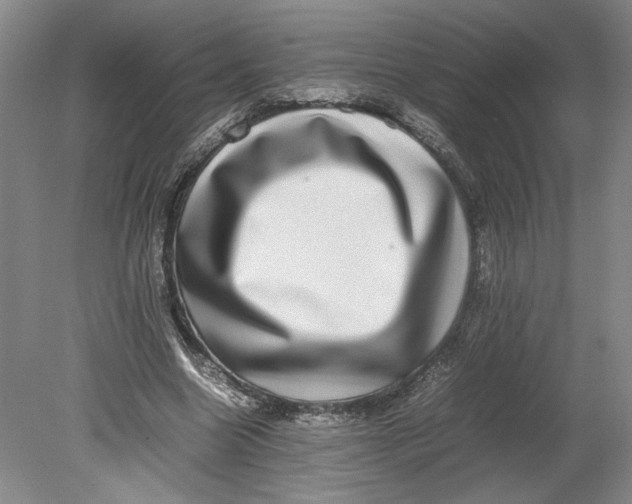 X0000080730538200701021122