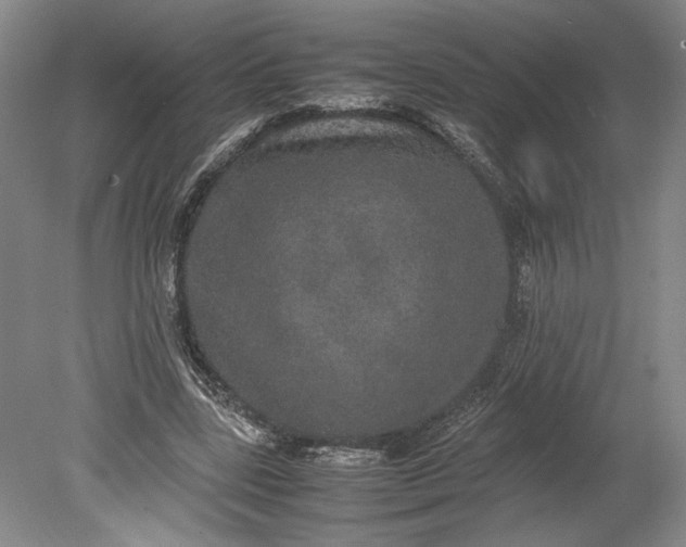 X0000080730539200701021122