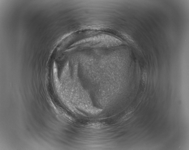 X0000080730540200701021122