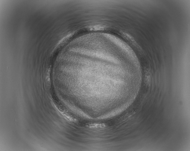 X0000080730543200701021122