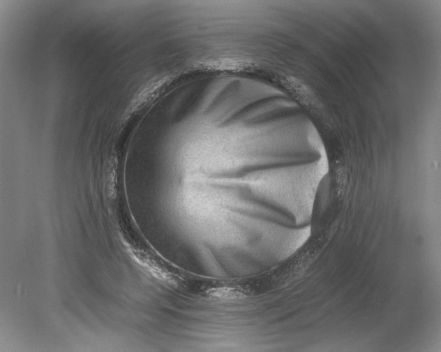 X0000080730544200701021122