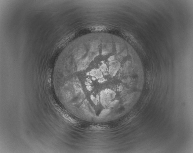 X0000080730545200701021122