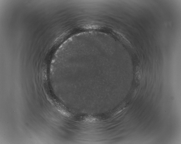 X0000080730547200701021123