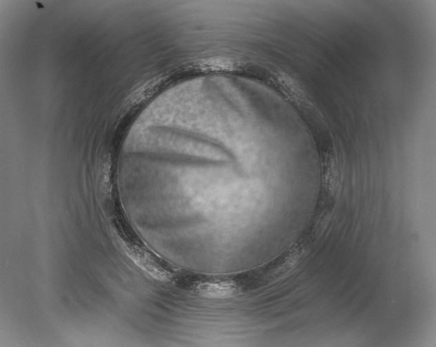 X0000080730548200701021123