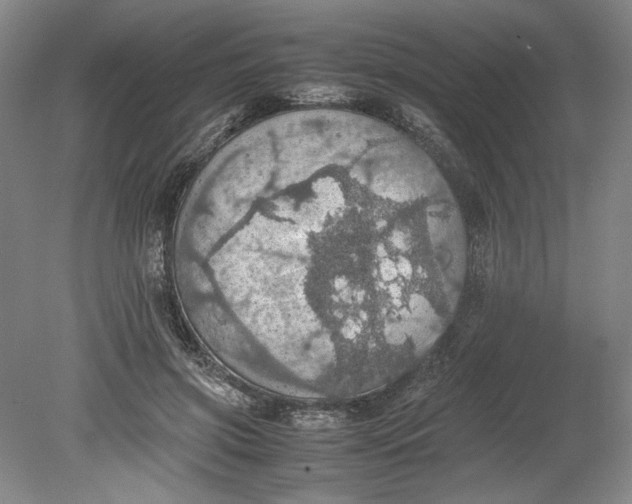 X0000080730549200701021123