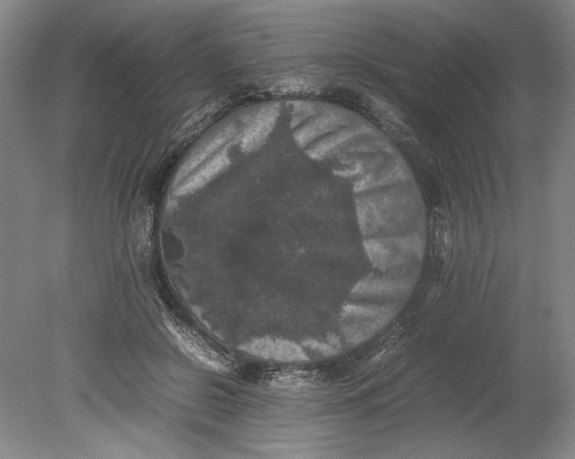 X0000080730550200701021123