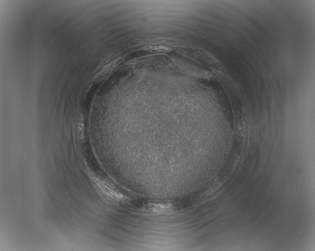 X0000080730552200701021123