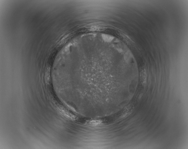 X0000080730554200701021123