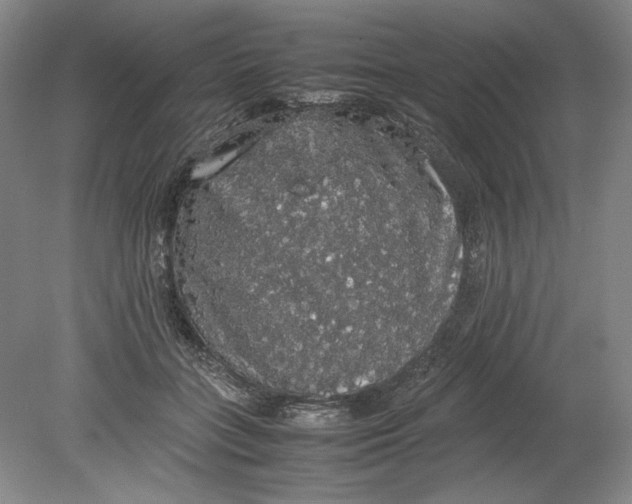 X0000080730555200701021123