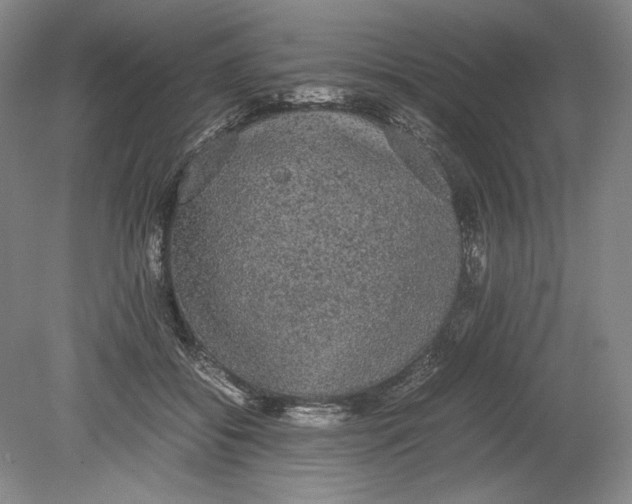 X0000080730556200701021123