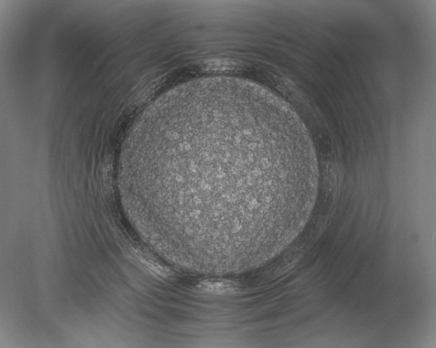 X0000080730557200701021123