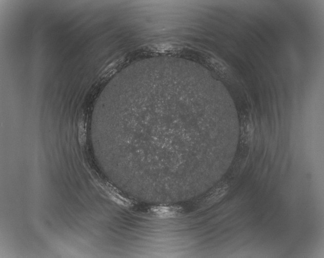 X0000080730558200701021123