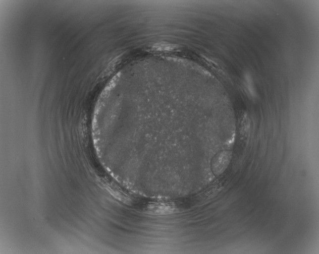 X0000080730559200701021123