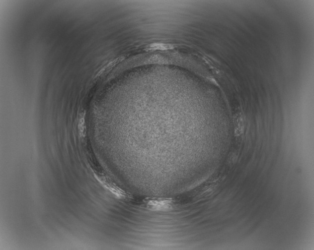 X0000080730560200701021123