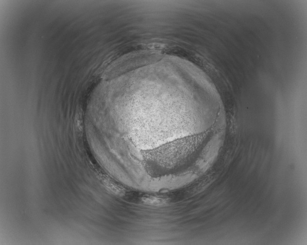 X0000080730561200701021123