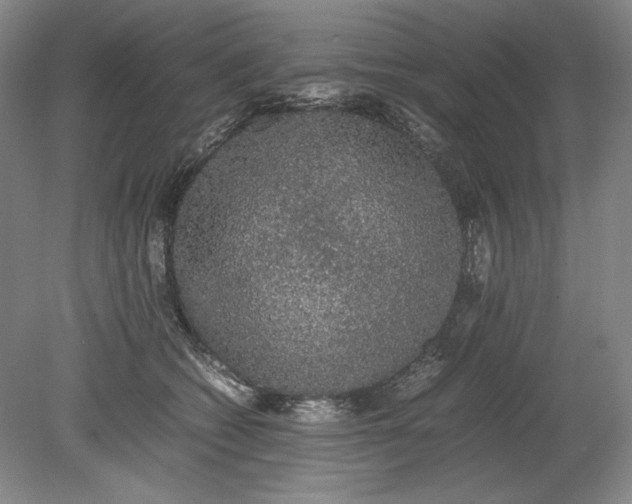 X0000080730562200701021123