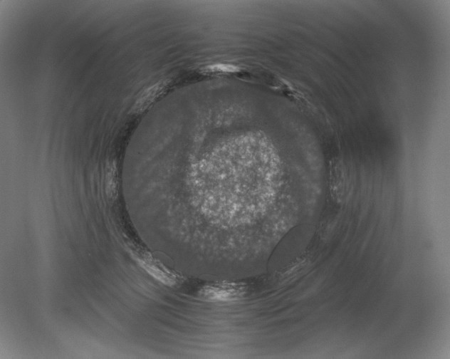 X0000080730563200701021123