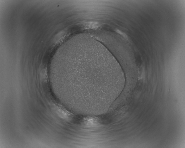 X0000080730564200701021123