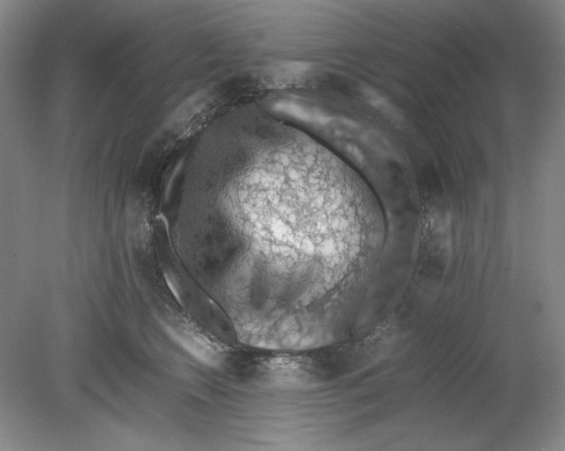 X0000080730566200701021123