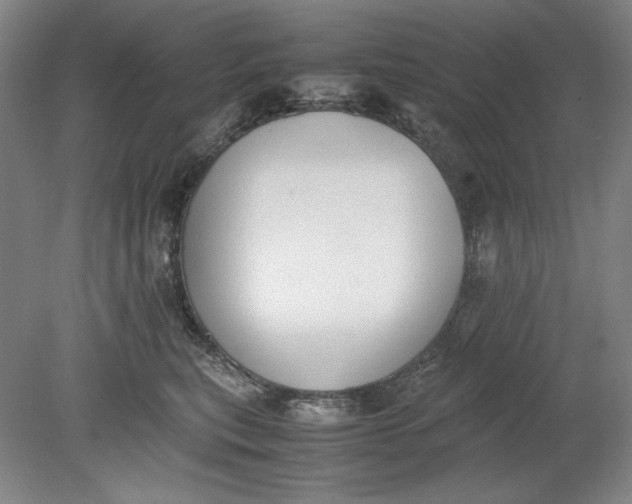 X0000080730567200701021123