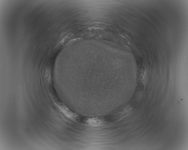 X0000080730568200701021123