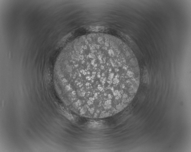 X0000080730569200701021123