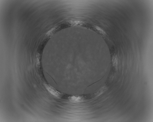 X0000080730570200701021123