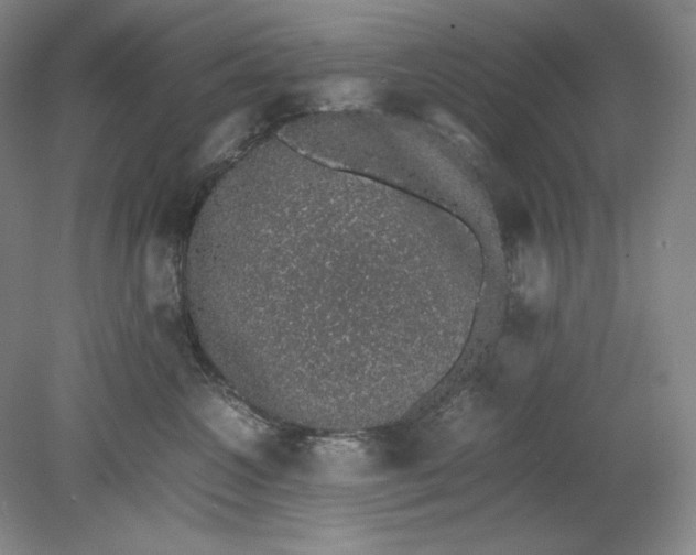 X0000080730572200701021123