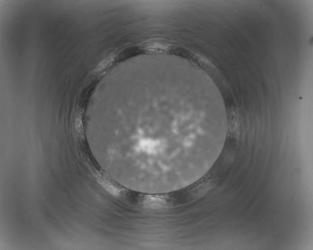 X0000080730573200701021123