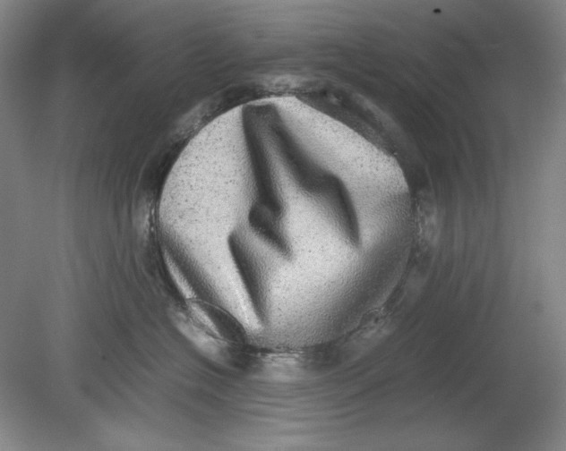 X0000080730574200701021123