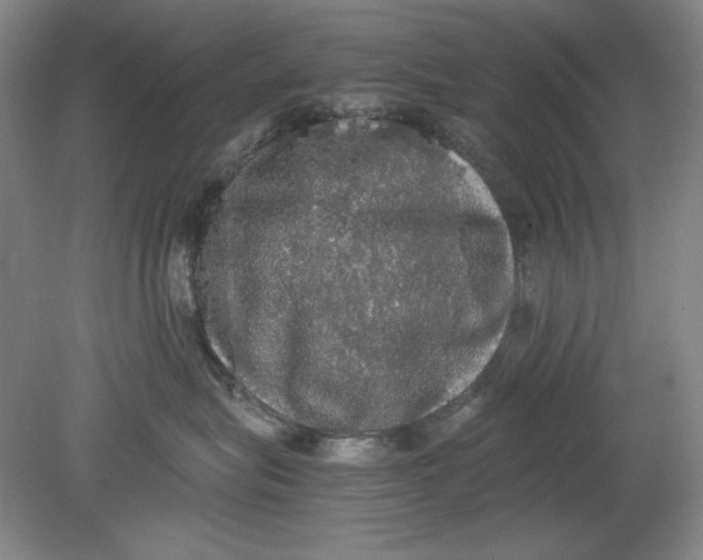 X0000080730575200701021123