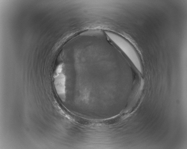 X0000080730577200701021122