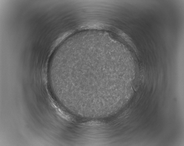 X0000080730578200701021122