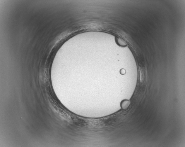 X0000080730579200701021122