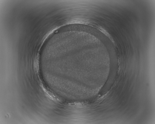 X0000080730580200701021122