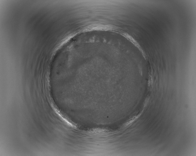 X0000080730581200701021122