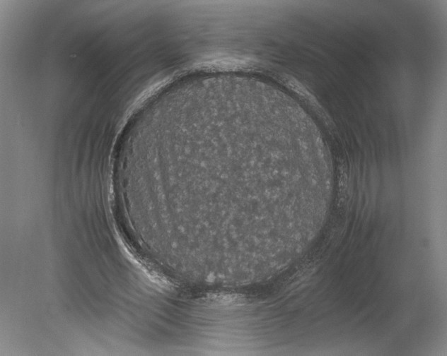 X0000080730582200701021122