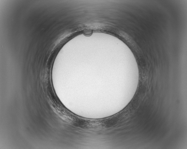 X0000080730583200701021122