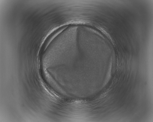 X0000080730584200701021122